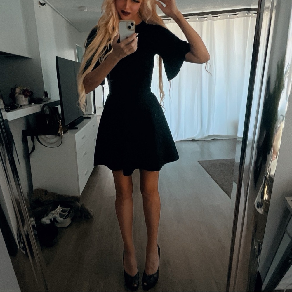 Ted Baker Black Fit and Flare Mini Dress - Picture 12 of 12